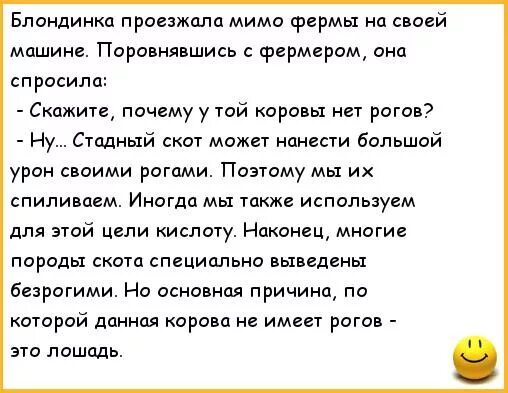 Бычки бычки анекдот. Анекдот про корову. Почему у коровы глаза грустные анекдот. Анекдот про корову и яблоки. Анекдоты про корову смешные.