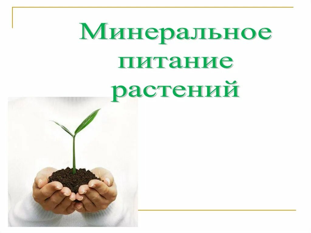 Минеральное питание растений. Минеральное питание растений схема. Минеральное питание растений 6 класс биология. Питание растений 6 класс биология. Тест по теме минеральное питание