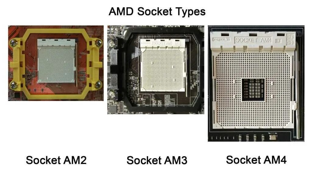 Сокет am3. Am3 сокет процессоры. Am4 сокет процессоры. Socket am3 и am4. Am3 какой сокет