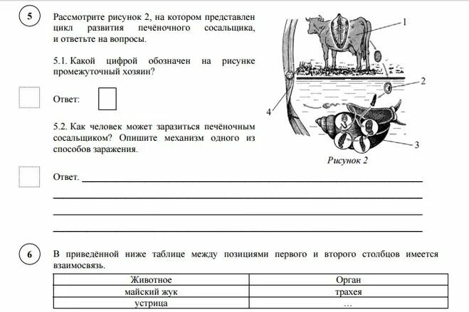 Решу впр 7 класс концентрическая биология. ВПР по биологии 8 класс демоверсия. Задания ВПР 8 класс биология. ВПР по биологии 8 класс 2020. ВПР по биологии 8 класс 2022.