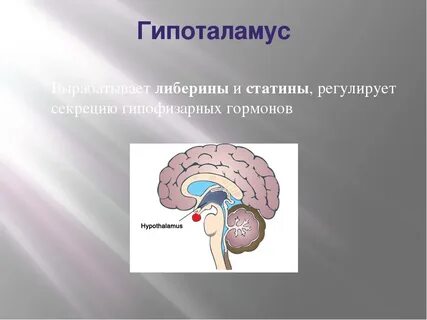 Как проверить гипоталамус