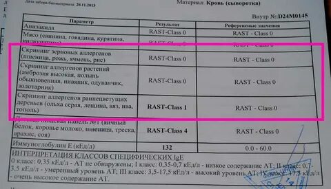 Аллерген ige