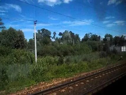 Тушинская дедовск
