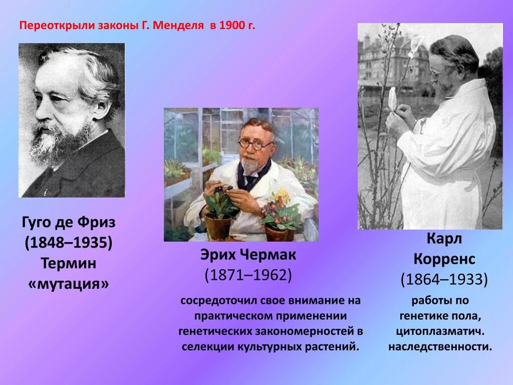 Х де фриз. 1900 Гуго де фриз. Ученый г де фриз. Хуго де фриз нидерландский учёный.