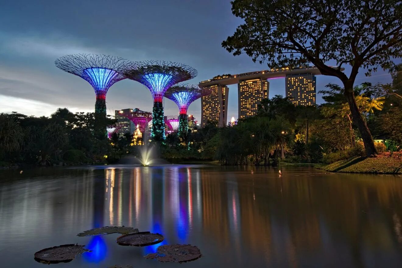Best singapore. Сингапур. Сингапур и канада. Юго восточная азия сингапур. Best singapore.
