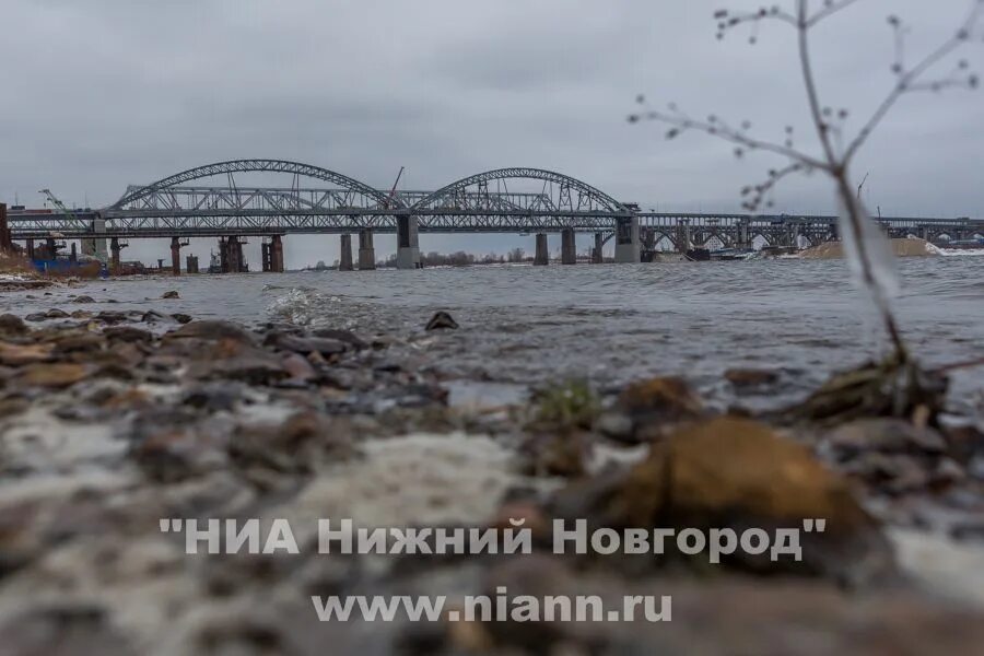 График работы борского моста в нижнем
