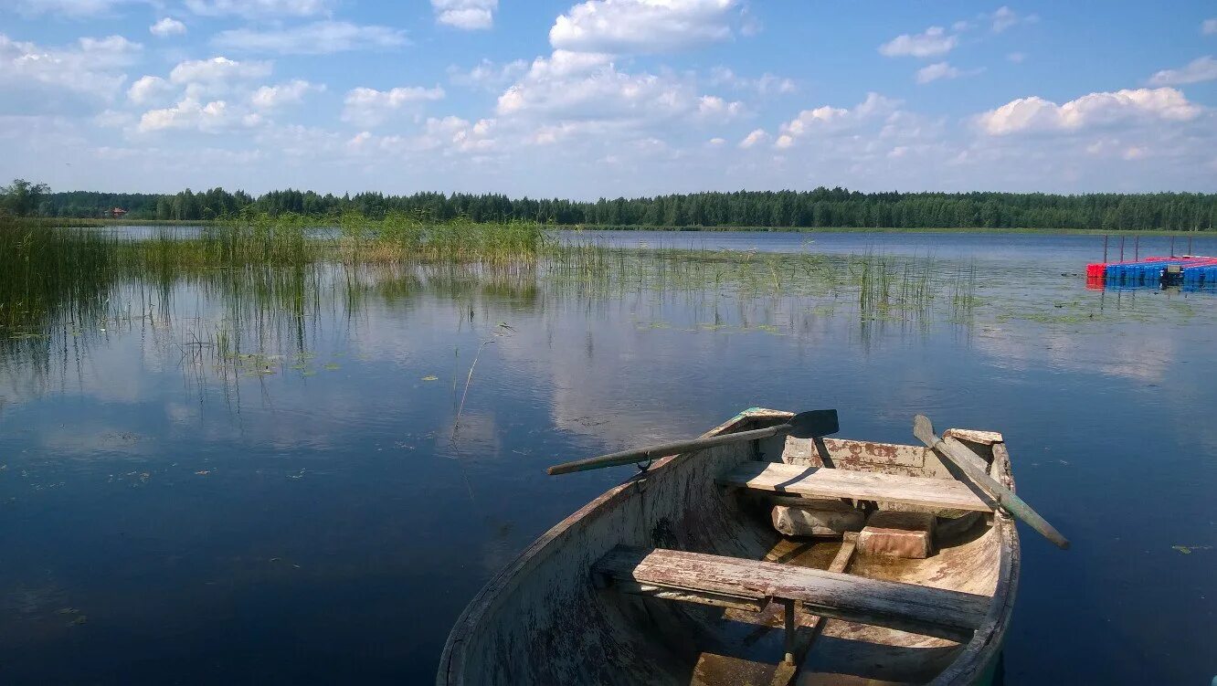 Купить озеро тверская область. Озеро глубокое Тверская область Осташковский район. Озеро спасоклинское Тверская. Озеро Серемо Тверская область. Озеро Верестово Тверская область.