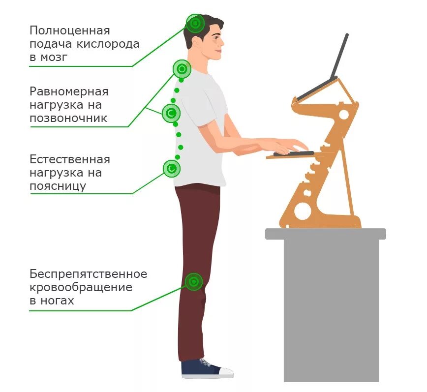 Где можно работать стоя. Работа стоя. стоячее рабочее место. рабочий стол для работы стоя. рабочая поза.