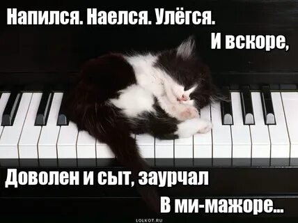 Наелся напился