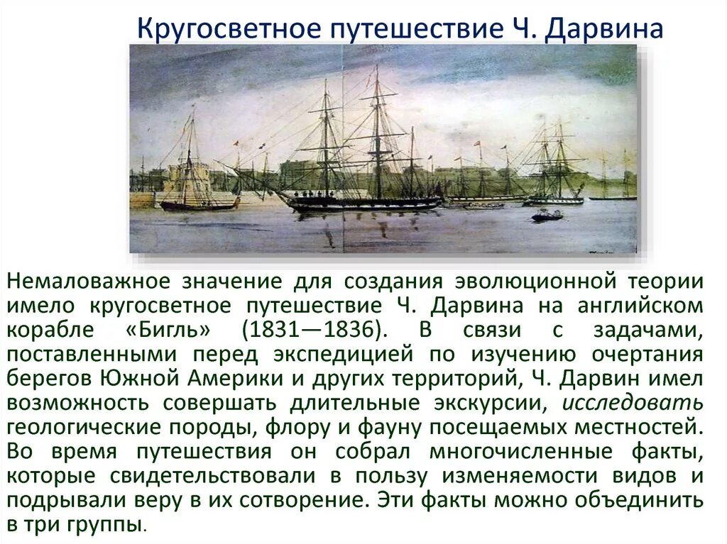 Ч дарвин кругосветное путешествие. Кругосветное путешествие Чарльза Дарвина. Экспедиция Дарвина на корабле Бигль. Карта кругосветного путешествия Дарвина. Путешествие Дарвина на корабле Бигль кратко.