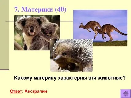 На каких материках какие животные