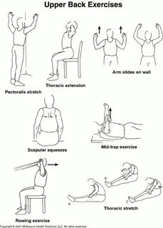 Back exercises