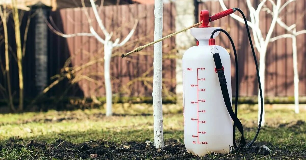 Опрыскивание деревьев и кустов весной. Обработка сада от вредителей. опрыскиватель для деревьев. опрыскивание от вредителей. опрыскиватель для яблонь.