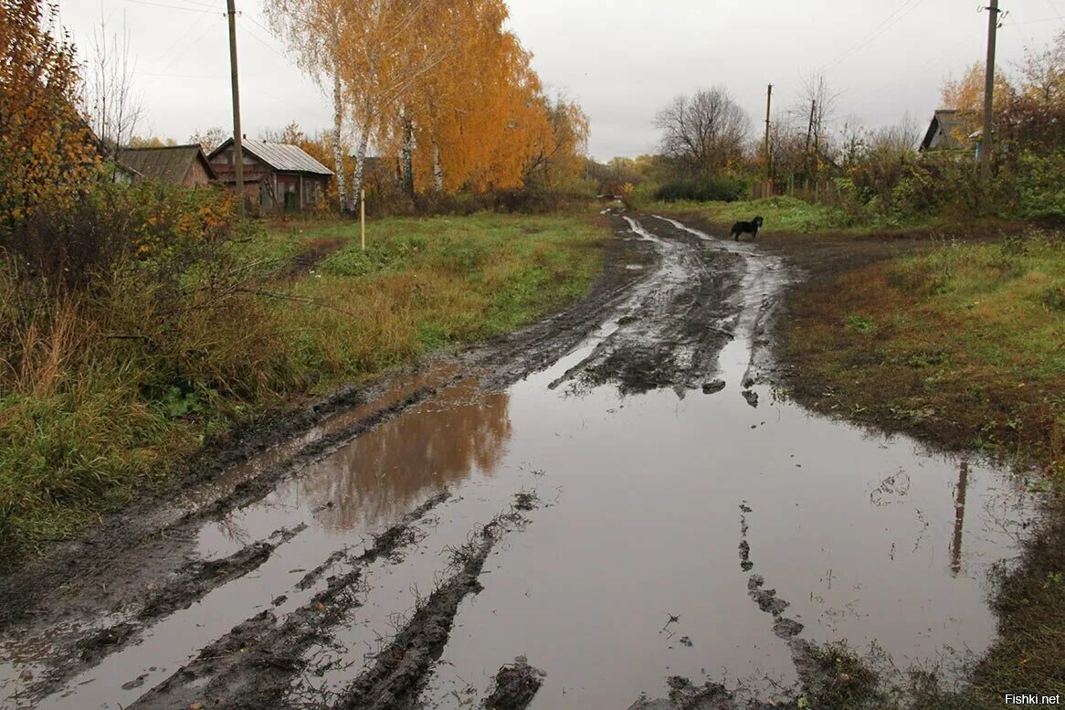 Осеннюю слякоть. Слякоть в деревне. лужа в деревне. дождливая осень в деревне. деревня после дождя.