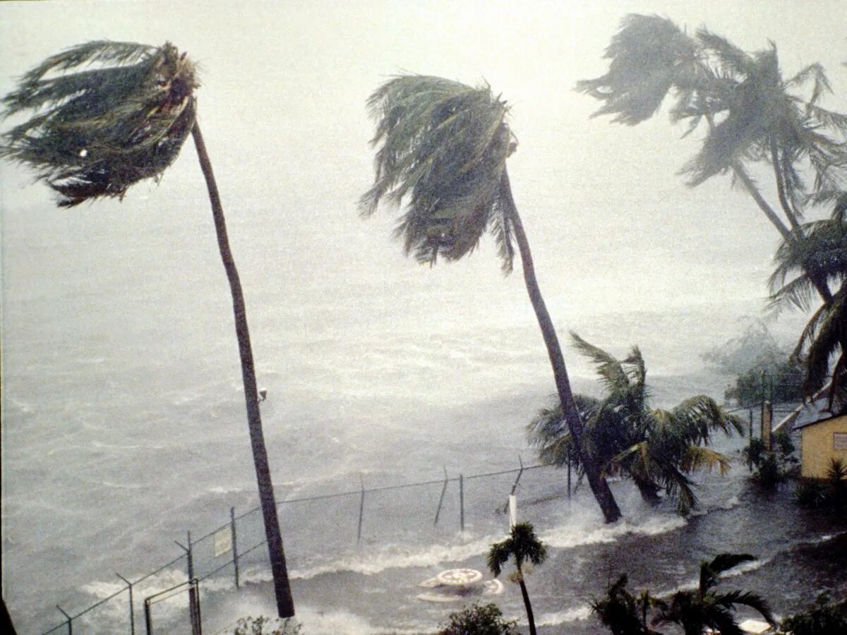 Ураган Хьюго 1989. Тропический циклон ураган. Смерч в Тайланде. Тропический шторм Грейс. Сильнейшие бури в истории