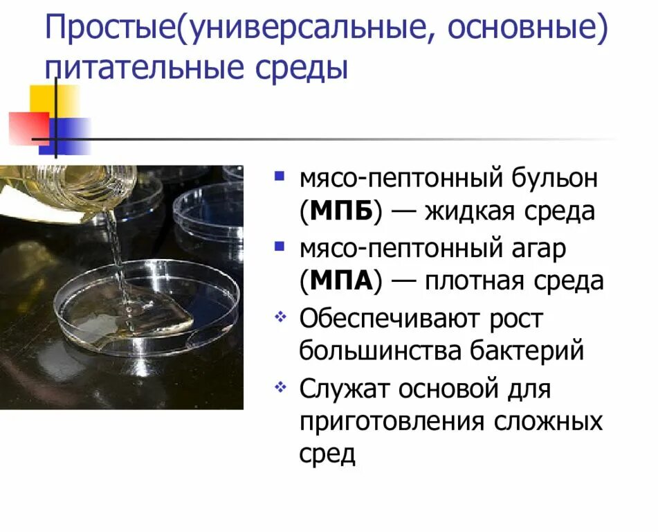 Мясопептонный бульон питательная среда. Схема питательные среды микробиология. Основные питательные среды МПА МПБ. Универсальные питательные среды микробиология.