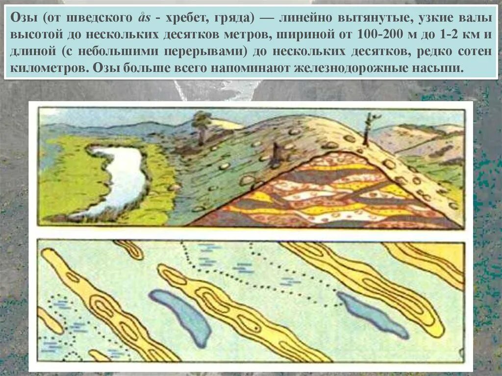 21. Разворот судна в узкости. Стрежень реки это. Озы это в географии. Геоморфологический профиль долины реки.