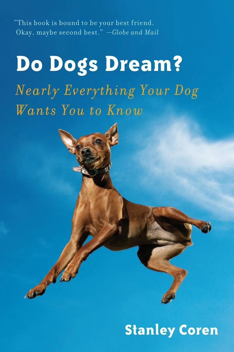 Dogs dream. Дрим дог. Пес с нами. Dreaming dog. Dogs dream.