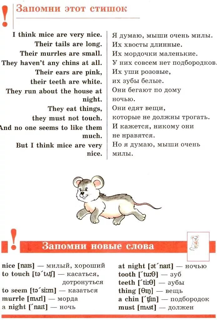 Заяц карточка для детей. Заяц перевести на английский. Кролики по английскому языку. Карточки для детей зайчонок. Карточки на английском для детей.