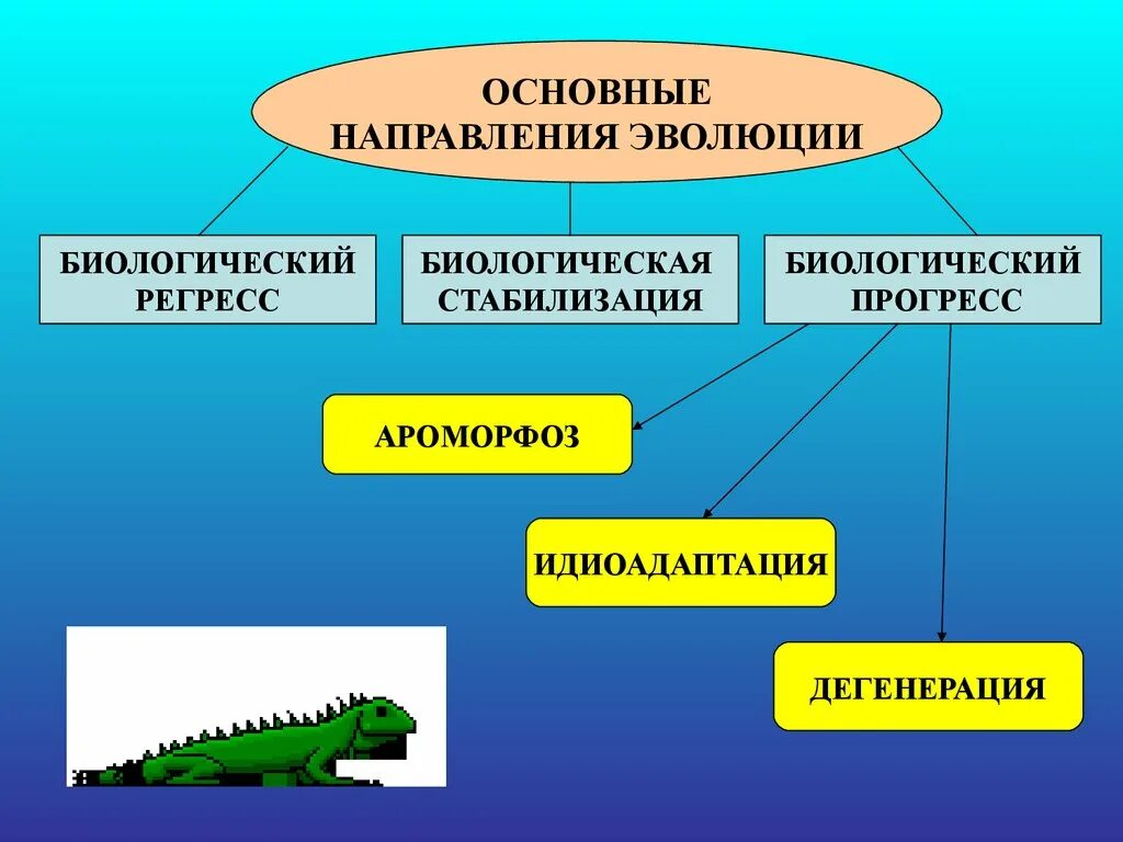 Дегенерации приводят к биологическому прогрессу. Направления эволюции. Основными направления ЭВОЛЮЦИЙ. Направления эволюции презентация. Направления эволюции биология.