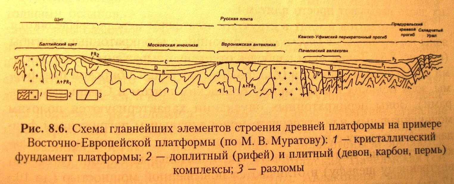 Прогибы впадины. Прогибы впадины