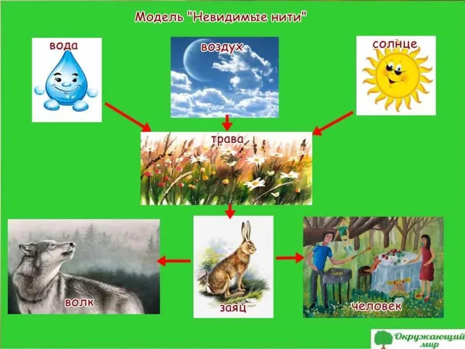 Связь человека с природой 6 класс. Модель невидимые нити окружающий мир. Окружающий мир невидимые нити Живая и неживая природа 2 класс. Модели невидимых нитей в природе окружающий мир 2 класс. Модель связей в природе 2 класс окружающий мир.