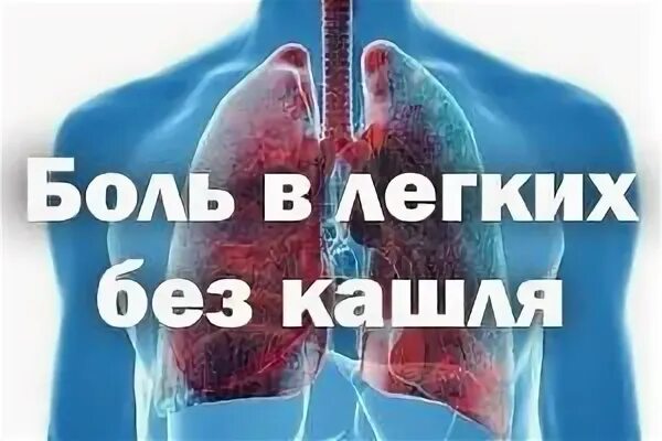 Болит одно легкое. Легкие больные пневмонией. Болит одно легкое. Болит одно легкое. Болит одно легкое.