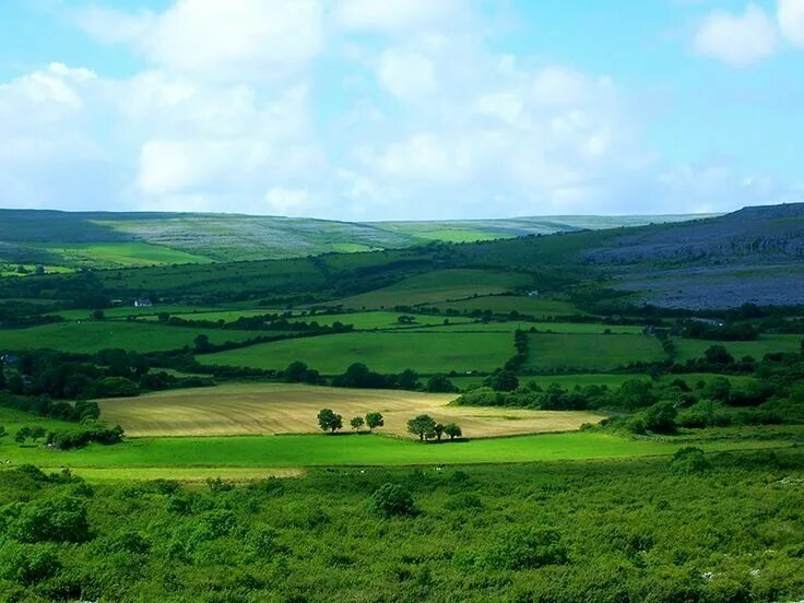 Irish countryside. Countryside фото. Irish Barryroe field. The Northern Irish countryside.