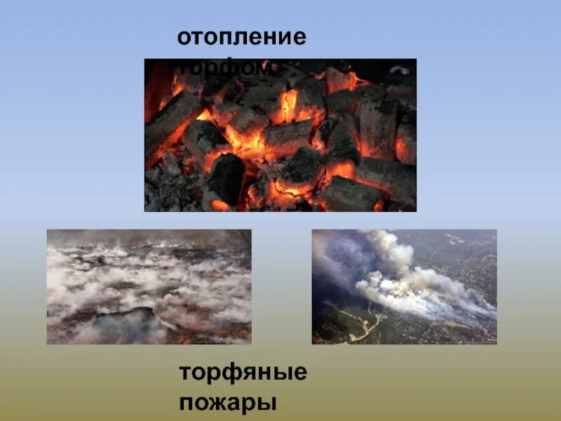 Торф горючее ископаемое. Торф. Торф горючий. Полезные ископаемые торф. Торф полезное ископаемое.