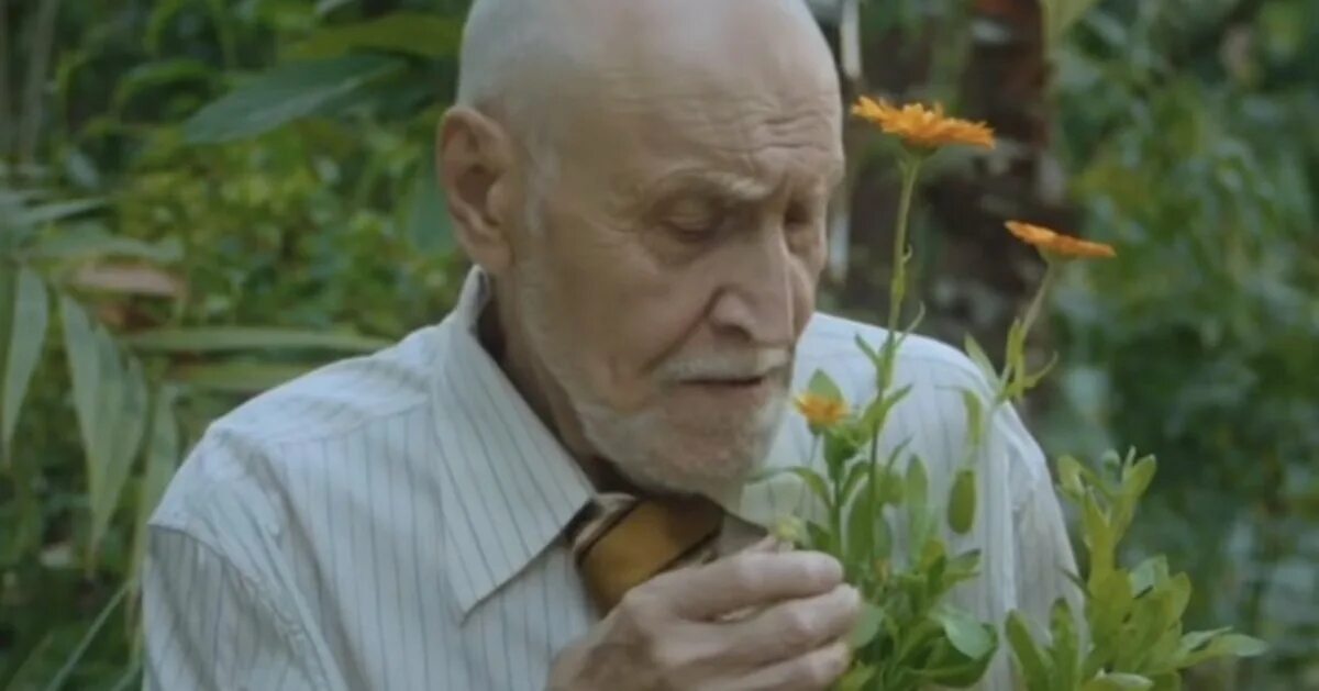 Природа с дроздовым. Природа с дроздовым
