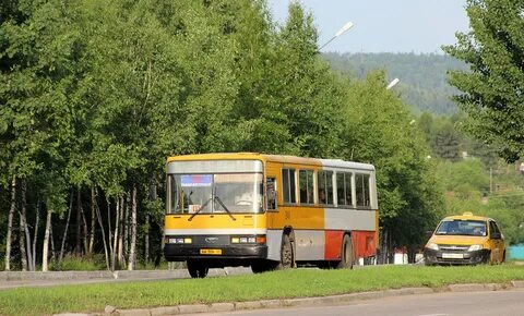 Благовещенск тында автобус