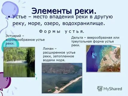 Столица в устье реки