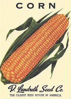 a label for corn on the cob 