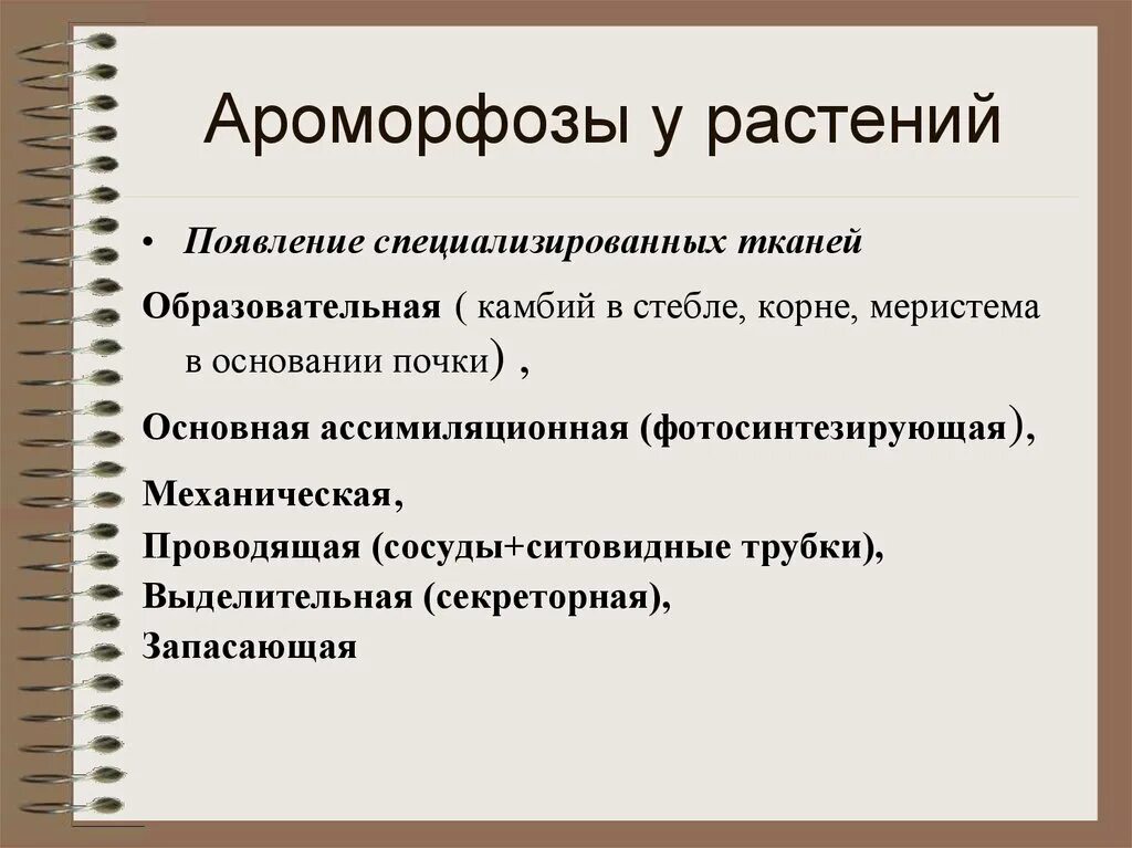 Ароморфозы растений. Ароморфоз примеры. Ароморфозы цветковых растений. Ароморфозы растений и их значение.