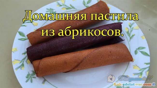 Рецепты пастилы из абрикос. Пастила из абрикосов. пастила из абрикосов в электросушилке. сушилка для приготовления пастилы.