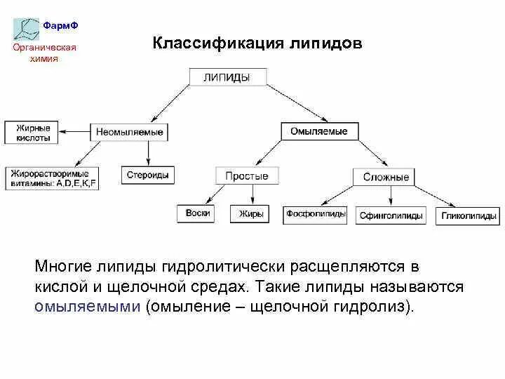 Основные липиды тканей человека. Схема липидов биохимия. Классификация липидов и их функции. Липиды простые и сложные схема. Классификация липидов биохимия таблица.