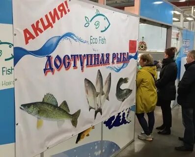 Рыб новгород