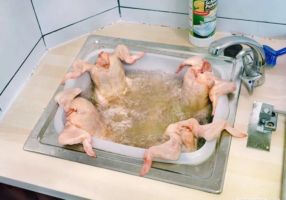Курица в воде. Курица в воде
