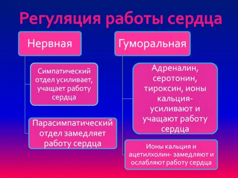 В регуляции частоты сердечных. В регуляции частоты сердечных. Рефлекторная регуляция дыхания рефлекс геринга-брейера. В регуляции частоты сердечных. Схема нервно-рефлекторной регуляции деятельности сердца.