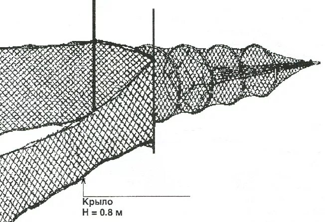 Для ловли рыбы 3. Фитиль мережа вентерь. Фитиль вентерь Речной. Мережи верши вентери. Рыболовные вентери мережи верши.