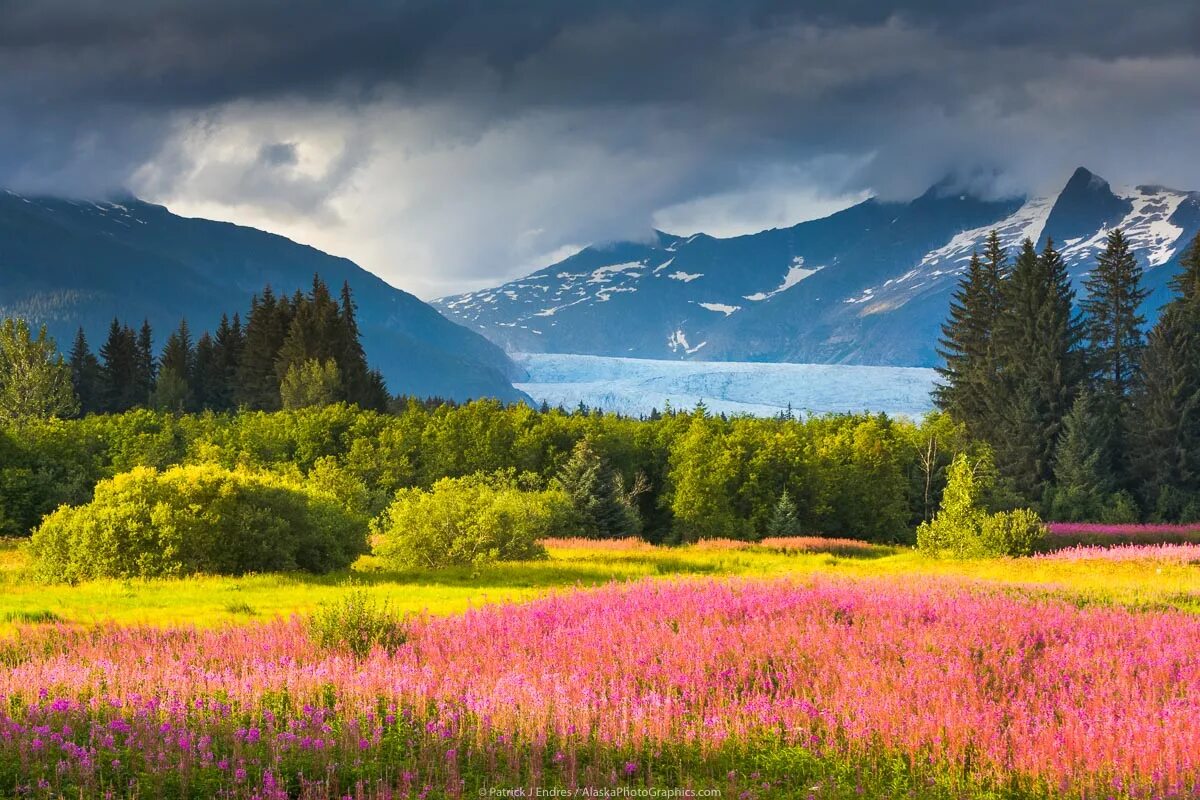 Штат Аляска. Аляска США. Штат Аляска природа. Ландшафты Аляски.