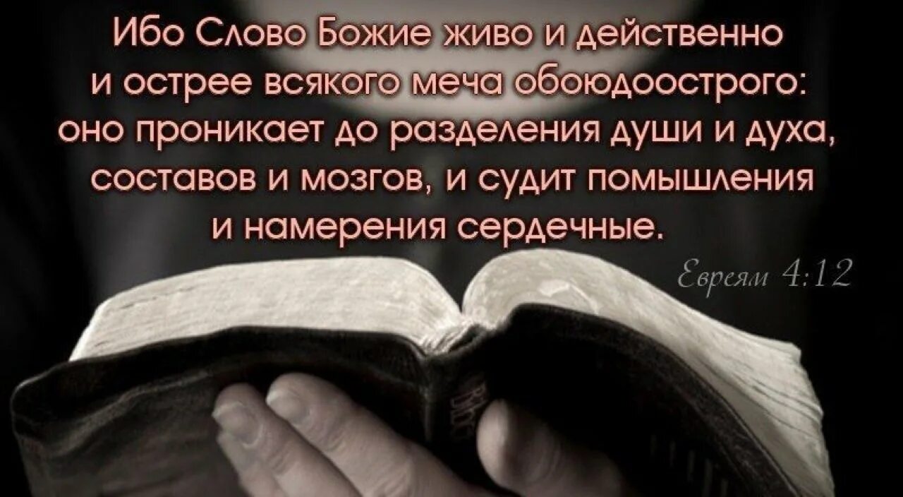 Библия глуп. Слово Божье. Библия слово Божье. Библия есть слово Божие. Картинки с божьими словами.