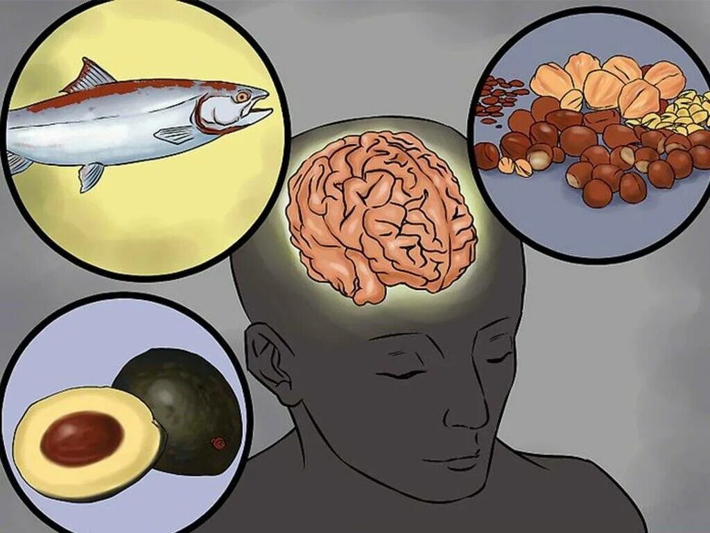 Мозгу нужно время. Пища для мозга. Пища для мозгов. Полезные жиры для мозга. Влияние пищи на мозг.