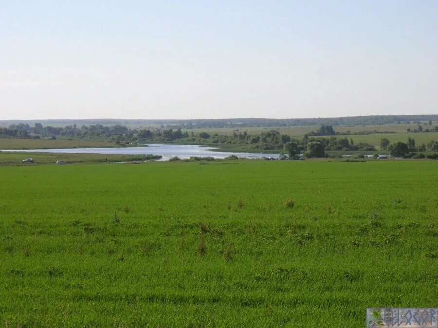 Сердобск куракино. Куракино калужская область. Усадьба куракино тверская. Село утешево калужская область. Куракино калужская область.