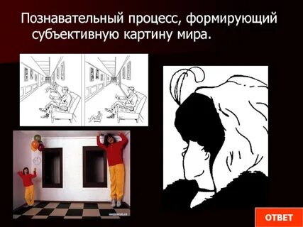 Человек формирует свой взгляд на мир свою