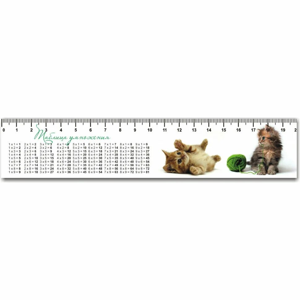 Table ruler