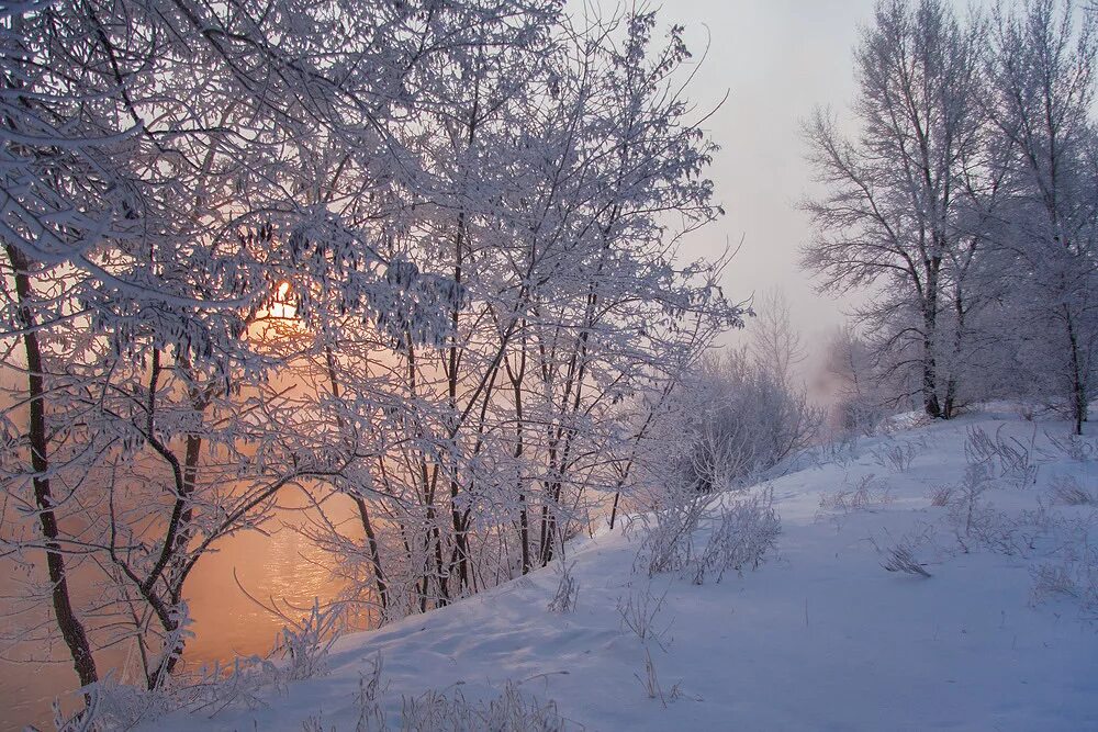 чародейка зима картинки. солнечный зимний день в лесу. стоял ясный зимний. ясный зимний день. зимнее утро 2.