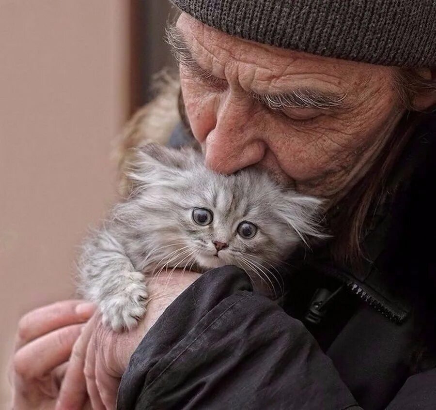 Добро кот. Добро кот