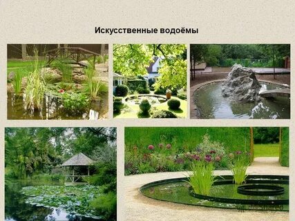 Закономерности ландшафта