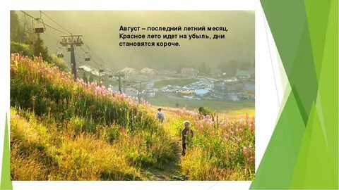 Последнее лето цитаты